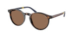 500373 - Shiny Dark Havana / Brown