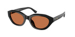 500173 - Shiny Black / Brown