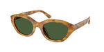 618571 - Shiny Tortoise Light Brown / Dark Green