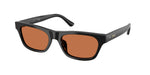 500173 - Shiny Black / Brown
