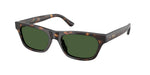 500371 - Shiny Dark Havana / Dark Green