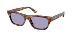 63551A - Shiny Brown Tortoise / Lilac