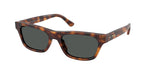 635587 - Marrone Tartaruga / Dark Grey