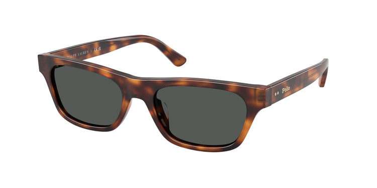 635587 - Marrone Tartaruga / Dark Grey
