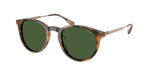 500371 - Shiny Red Havana / Dark Green