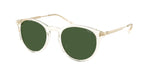 635771 - Shiny Transparent Yellow / Dark Green