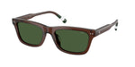 631571 - Shiny Transparent Brown / Dark Green