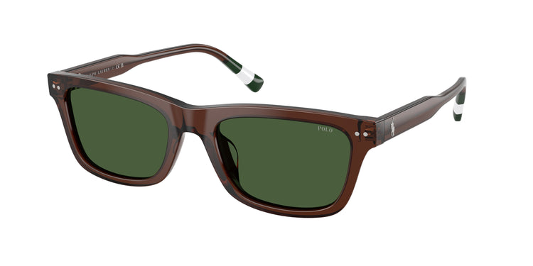 631571 - Shiny Transparent Brown / Dark Green