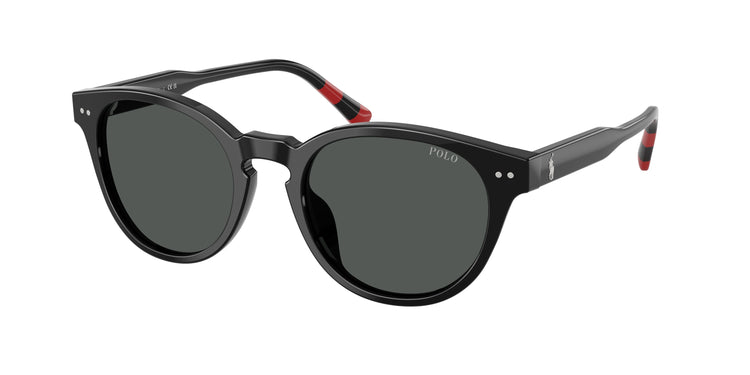 500187 - Shiny Black / Dark Grey