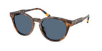 608980 - Shiny Red Havana / Dark Blue