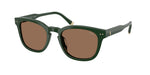 614073 - Shiny Dark Green / Dark Brown