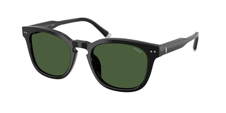 500171 - Shiny Black / Dark Green