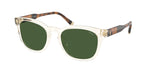 635771 - Shiny Transparent Yellow / Dark Green