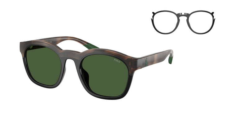 607071 - Havana/Black / Dark Green