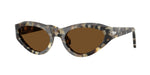 107157 - Brown Tortoise / Brown Polar
