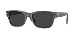 110348 - Transparent Taupe Grey / Polarized Black