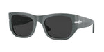 117348 - Grey / Polarized Black