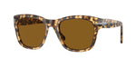 105633 - Brown/Beige Tortoise / Brown