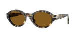107133 - Brown Tortoise / Brown