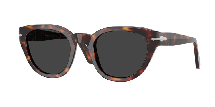 24/48 - Havana / Polarized Dark Grey