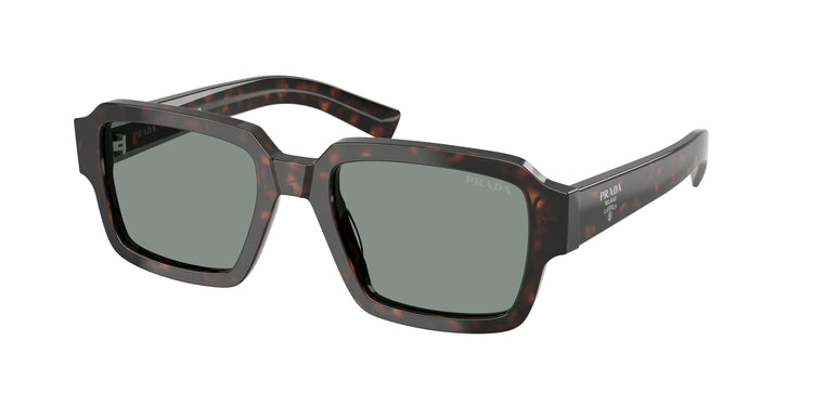 17N20N - Root Tortoise / Blue