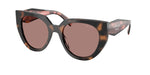 23A60B - Mauve Tortoise / Light Brown