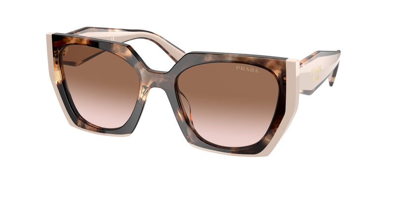 01R0A6 - Tortoise Caramel/Powder / Brown Gradient