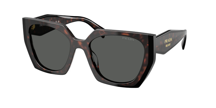 24B40L - Root/Black / Dark Grey