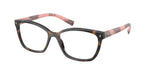 23A1O1 - Mauve Tortoise / Transparent