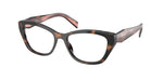 23A1O1 - Mauve Tortoise / Transparent
