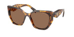 14L06B - Honey Tortoise / Dark Brown