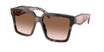 23A0A6 - Mauve Tortoise / Brown Gradient