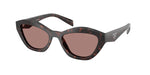 17N60B - Root Tortoise / Light Brown