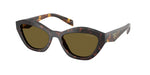 17N09Z - Root Tortoise / Dark Brown