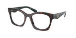 18Z1O1 - Root Tortoise / Transparent