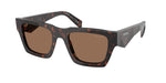 17N06B - Root Tortoise / Dark Brown