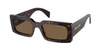 16N5Y1 - Briar Trotoise / Dark Brown Polarized