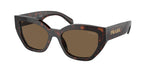 16N5Y1 - Briar Tortoise / Dark Brown