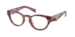 18N1O1 - Cognac Begonia Tortoise / Transparent