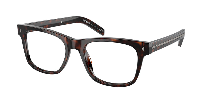 17N1O1 - Radica Tortoise / Demo Lens