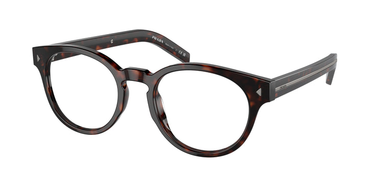 17N1O1 - Radica Tortoise / Demo Lens