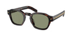 17N20G - Radica Tortoise / Polarized Green