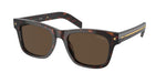 17N70F - Radica Tortoise / Dark Brown