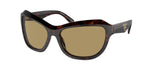 17N70G - Radica Tortoise / Green Olive