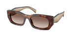 00K10S - Caramel Tortoise / Brown Gradient