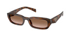 20D90P - Juniper Tortoise / Brown Gradient