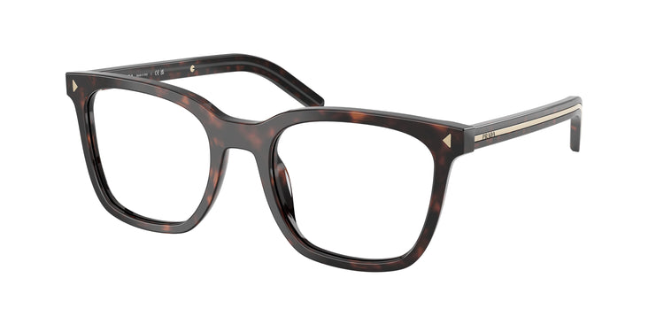 17N1O1 - Root Tortoise / Demo Lens
