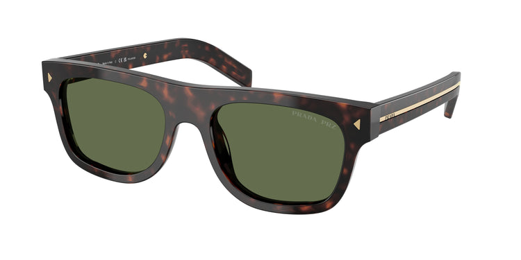 17N20G - Root Tortoise / Polarized Green