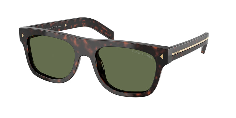 17N20G - Root Tortoise / Polarized Green