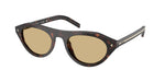 17N70R - Root Tortoise / Light Brown